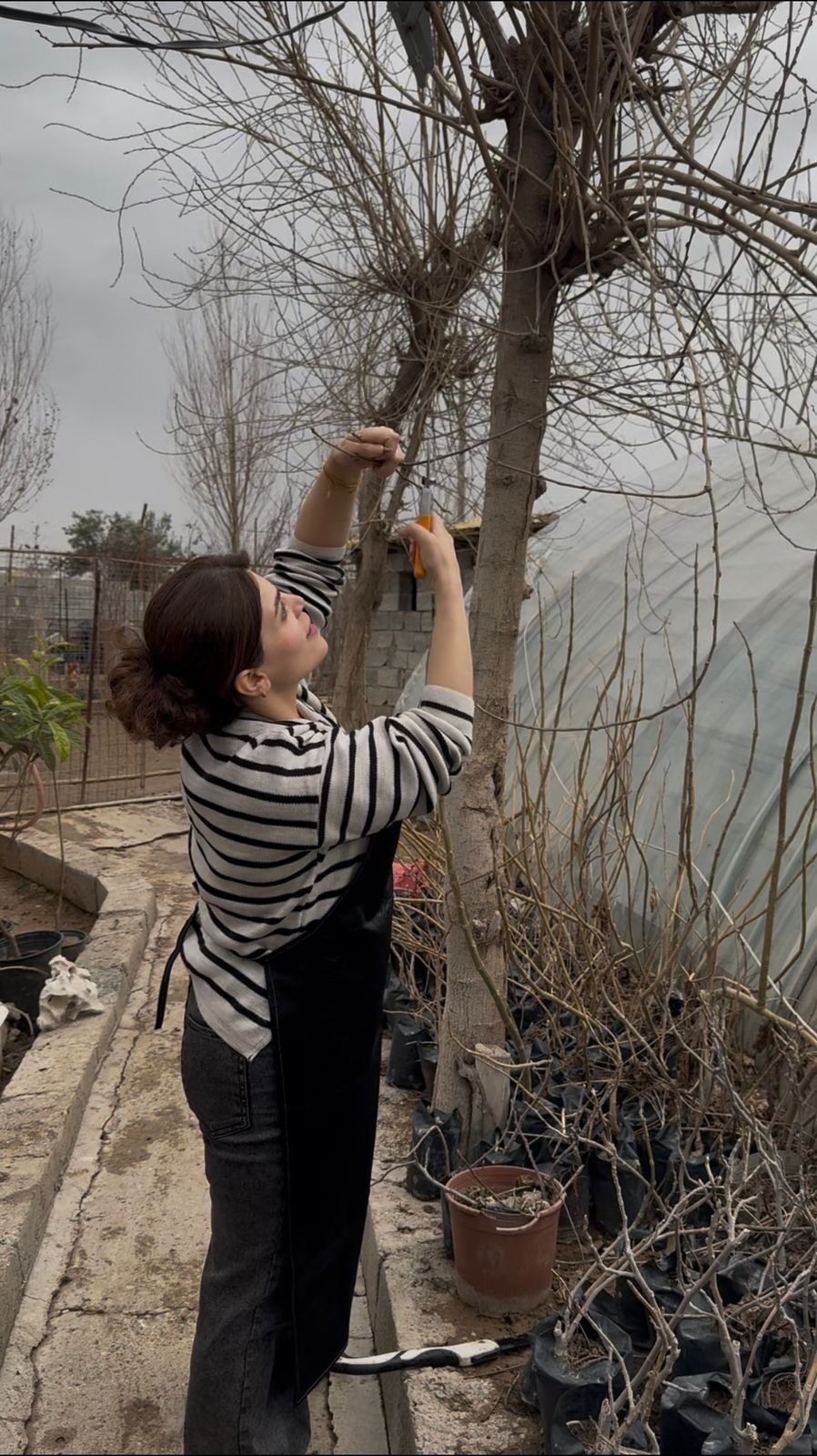 Bakhihanar Gallery Image