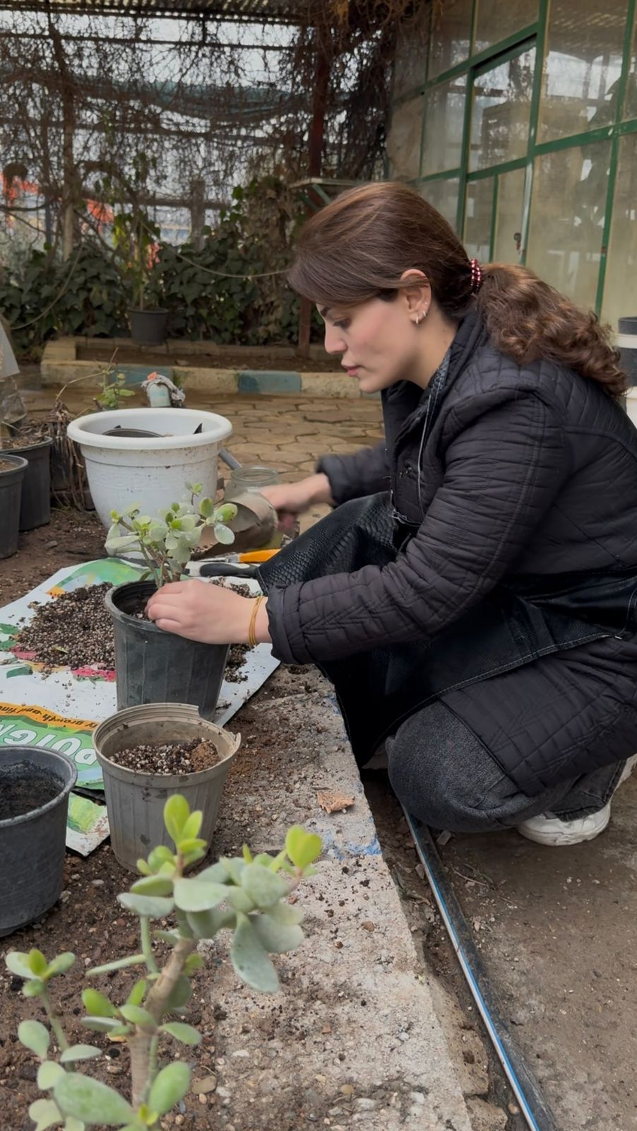 Bakhihanar Gallery Image