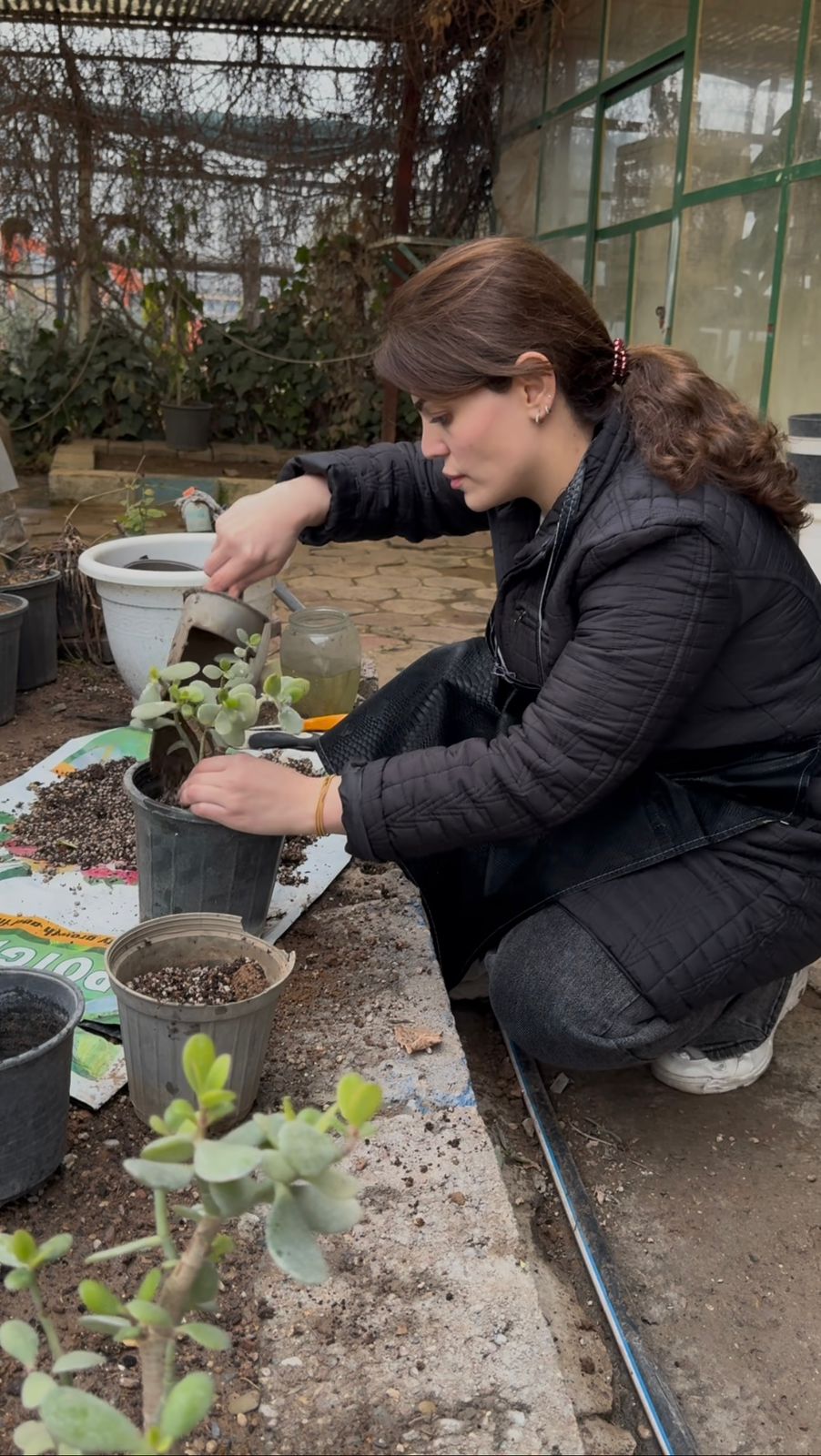 Hanar Hama Sharif working on a floral arrangement