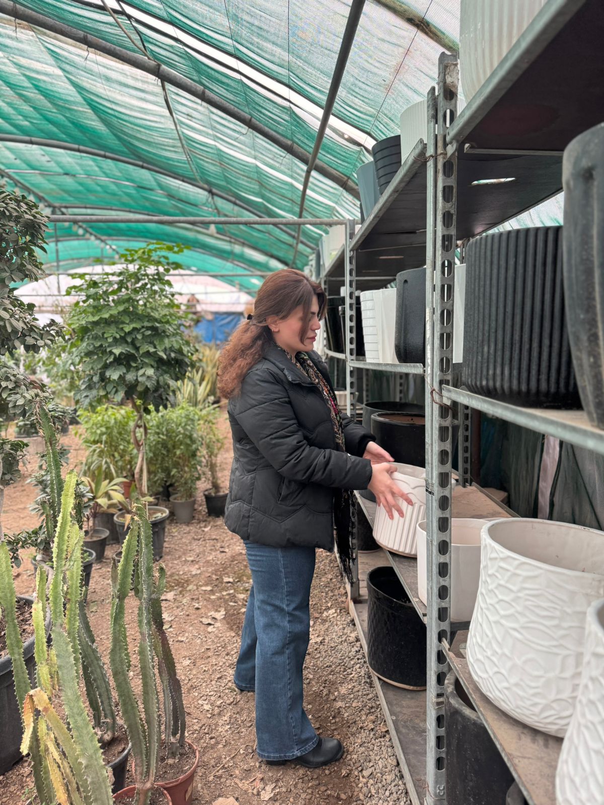 Beautiful flower shop arranged with colorful blooms